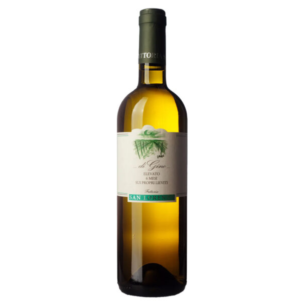 MARCHE BIANCO IGT DI GINO 2024